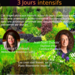 Prérentrée, stage de piano, 3 jours intensifs