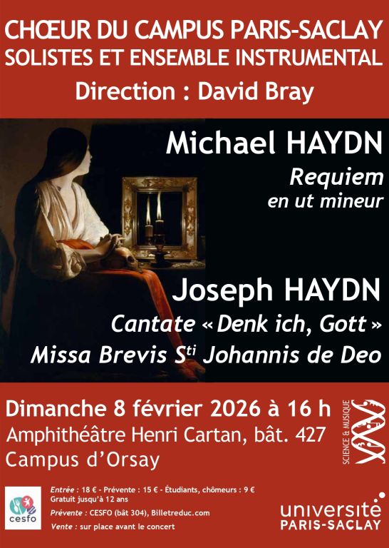 Les fr&egrave;res HAYDN
