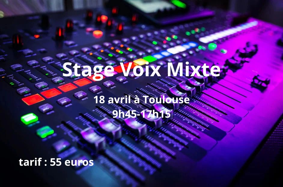 Stage Voix Mixte