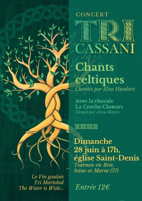 Concert Celtique Tri Cassani